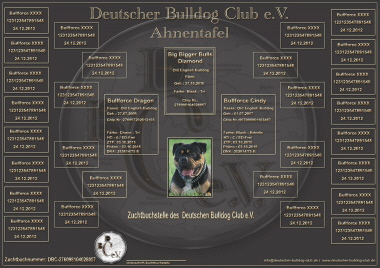 DBC Ahnentafel
